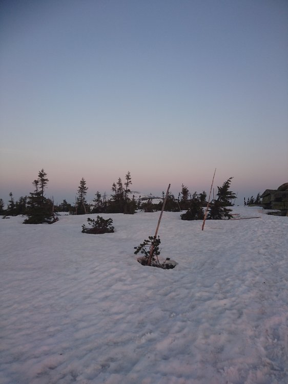 DSC_0633.JPG