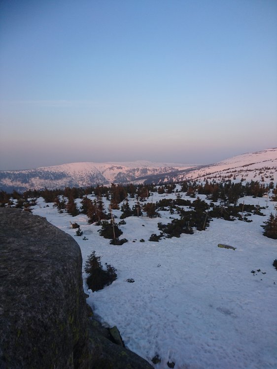 DSC_0669.JPG