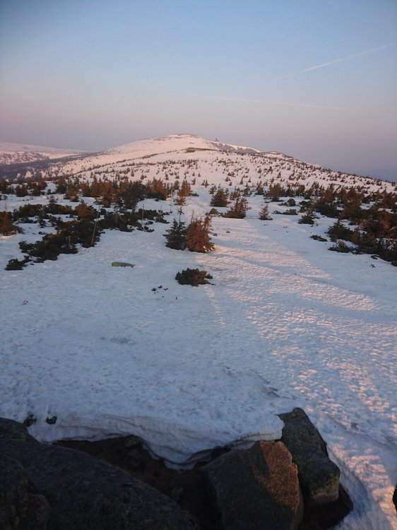DSC_0683.JPG