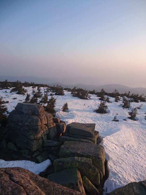 DSC_0687.JPG