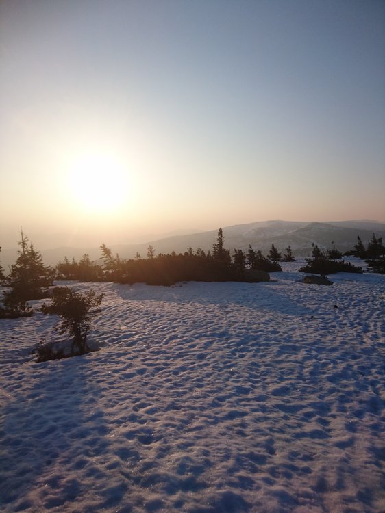 DSC_0694.JPG