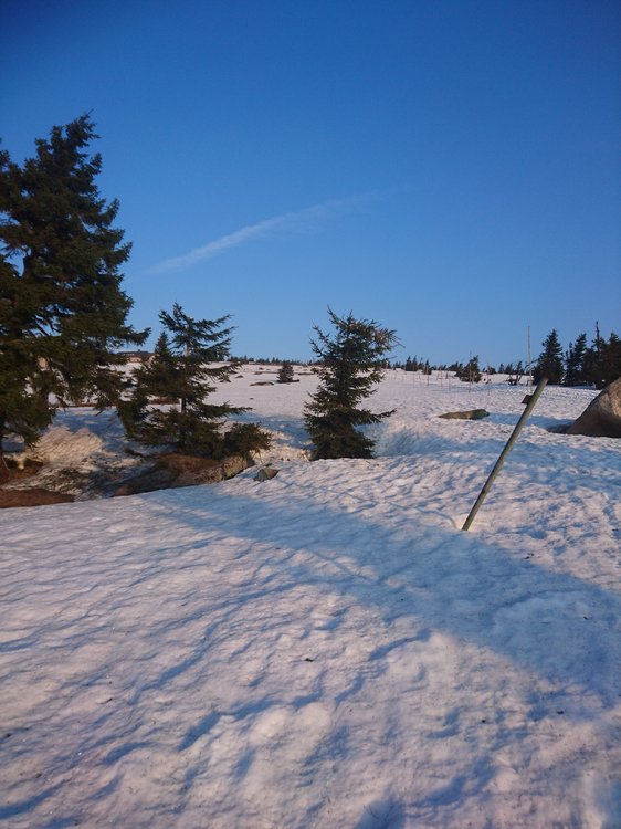 DSC_0703.JPG