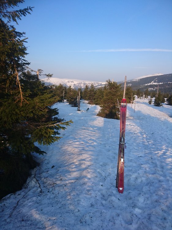 DSC_0704.JPG