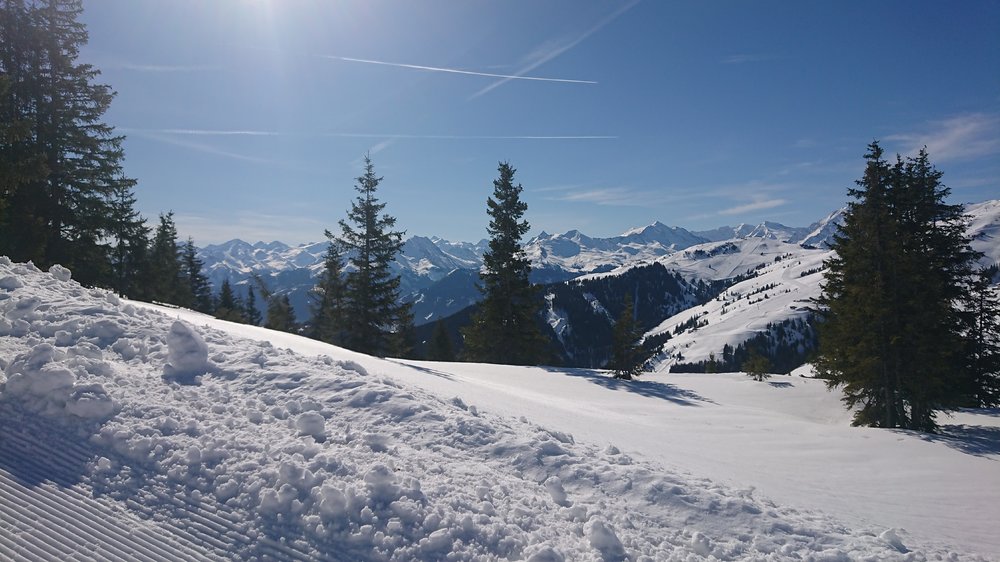 DSC_0741.JPG
