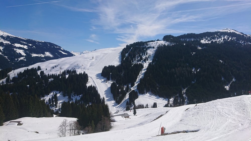 DSC_0755.JPG