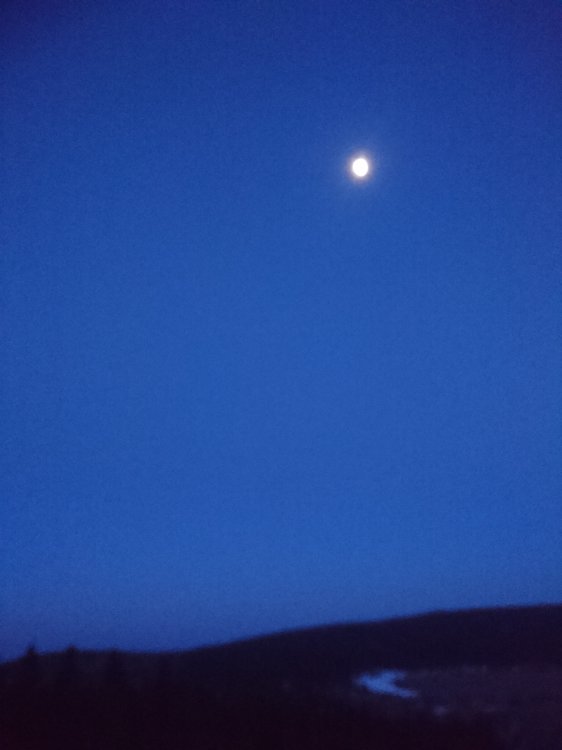 DSC_0759.JPG
