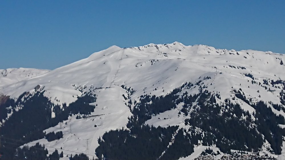 DSC_0779.JPG