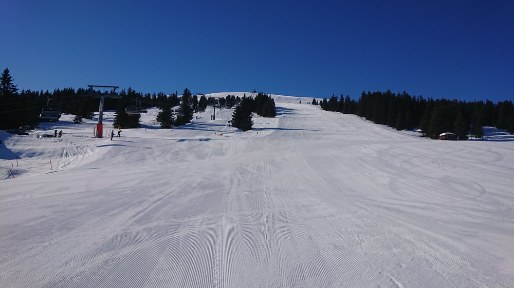 DSC_0783.JPG