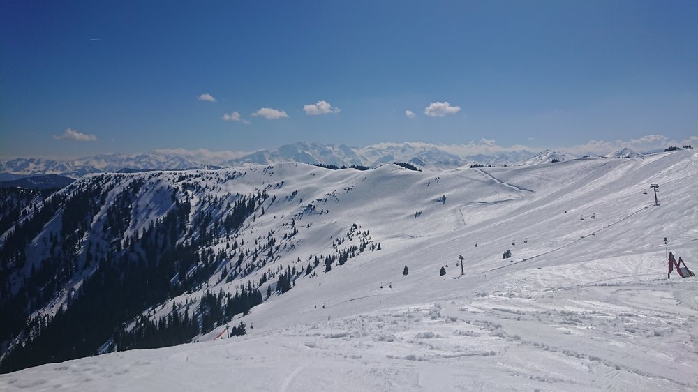 DSC_0811.JPG