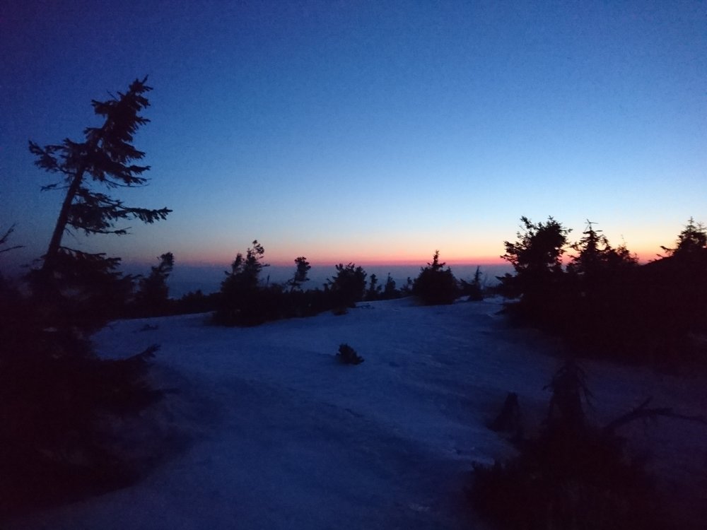 DSC_0817.JPG