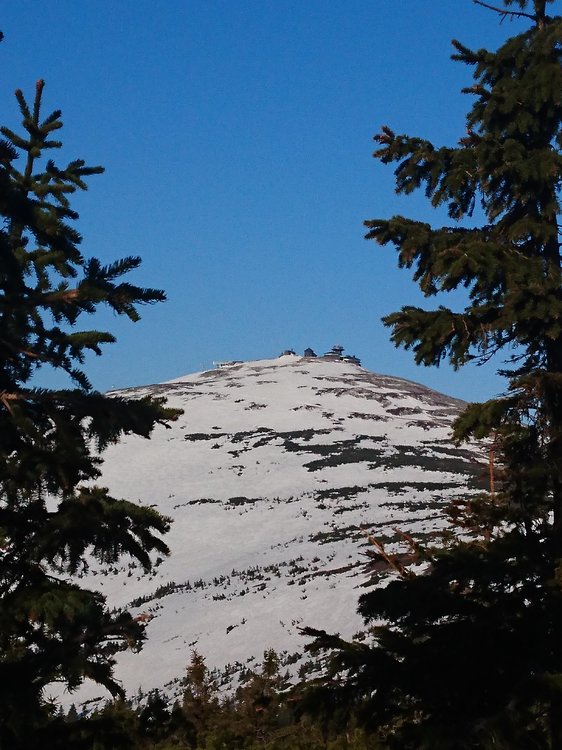DSC_0943.JPG