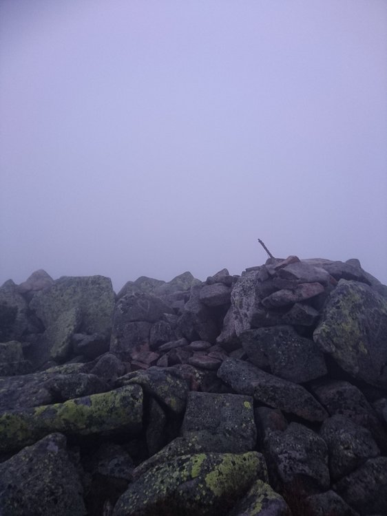 DSC_1263.JPG