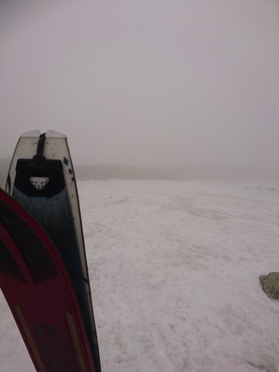 DSC_1269.JPG