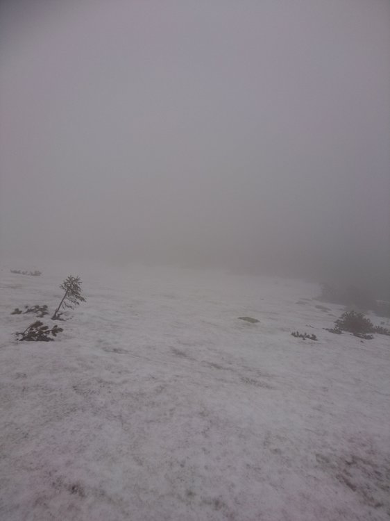 DSC_1272.JPG
