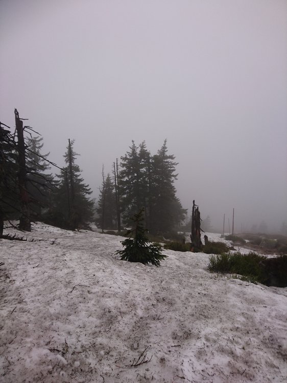 DSC_1278.JPG