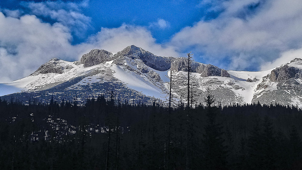 DSC_1960.thumb.jpg.0a42cce97b8e1fcabc3f91f39ea061b5.jpg