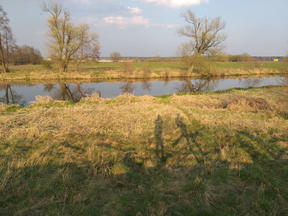 IMG-20190407-WA0004.jpg