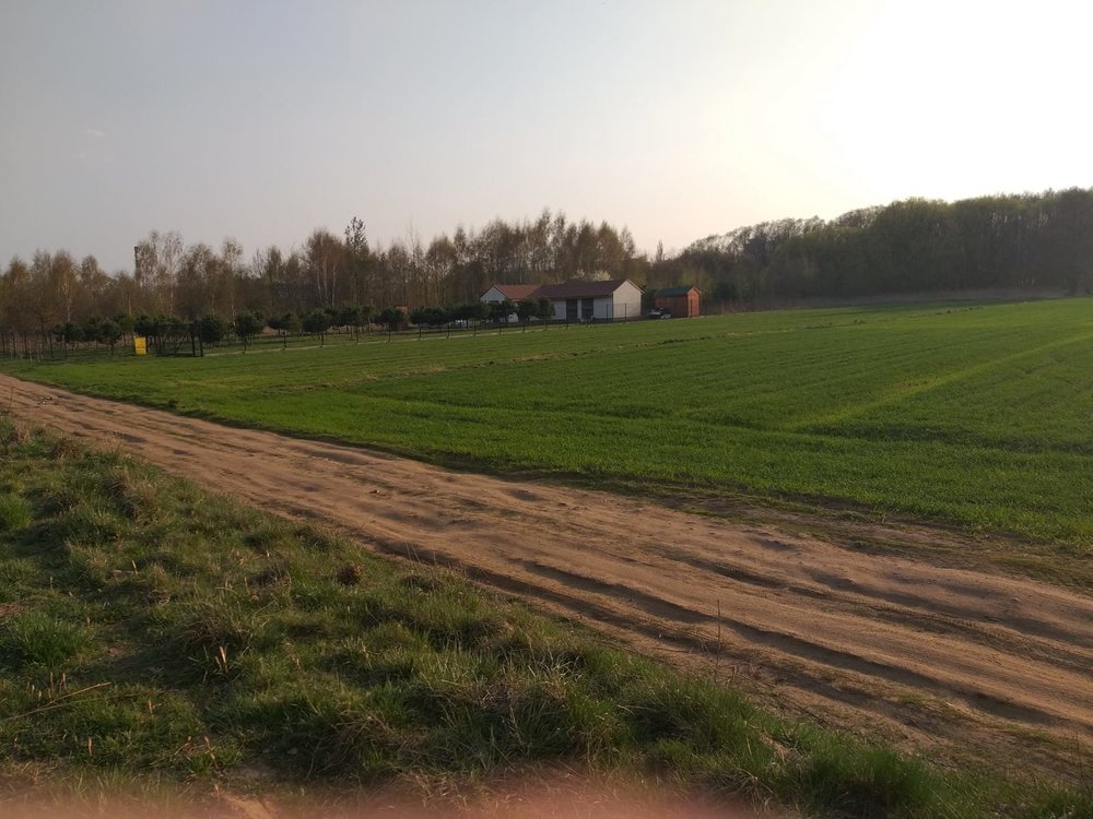 IMG-20190407-WA0005.jpg