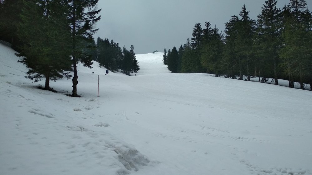 IMG_20190407_090742.jpg