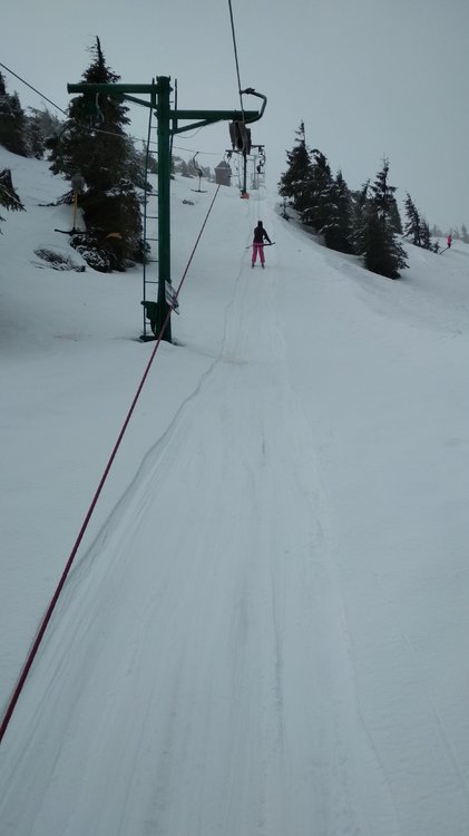 IMG_20190407_090906.jpg