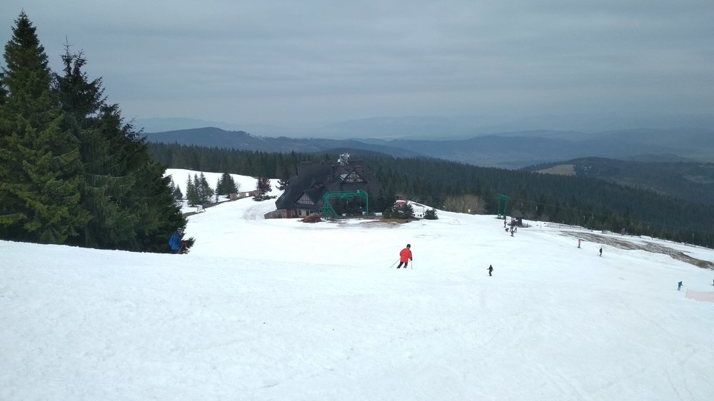 IMG_20190407_091301.jpg