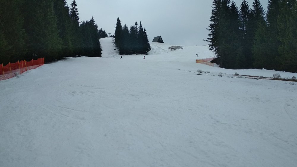 IMG_20190407_091643.jpg