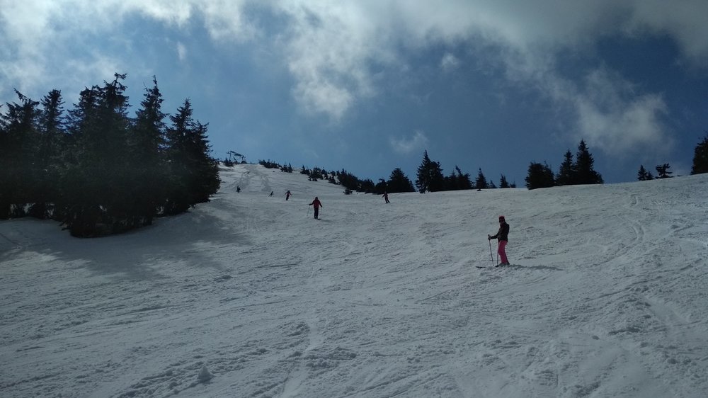 IMG_20190407_102537.jpg