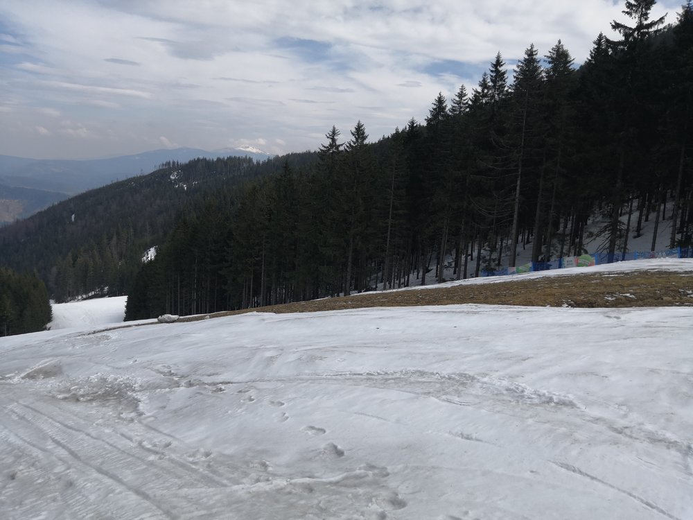 IMG_20190414_124850.jpg