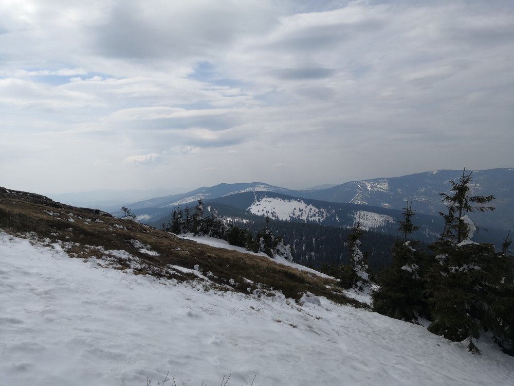 IMG_20190414_143138.jpg