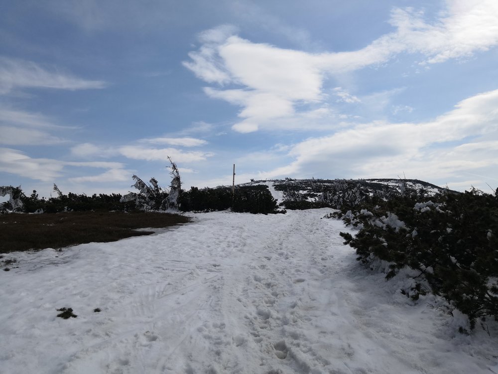 IMG_20190414_143416.jpg
