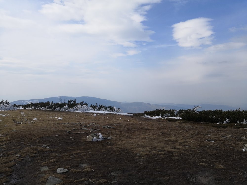 IMG_20190414_145638.jpg