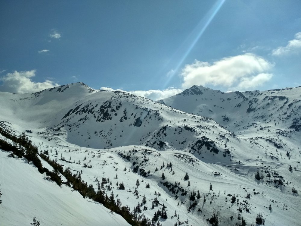 IMG_20190418_155320_HDR.thumb.jpg.899371c984ecfce9a8f3acdd6b549615.jpg