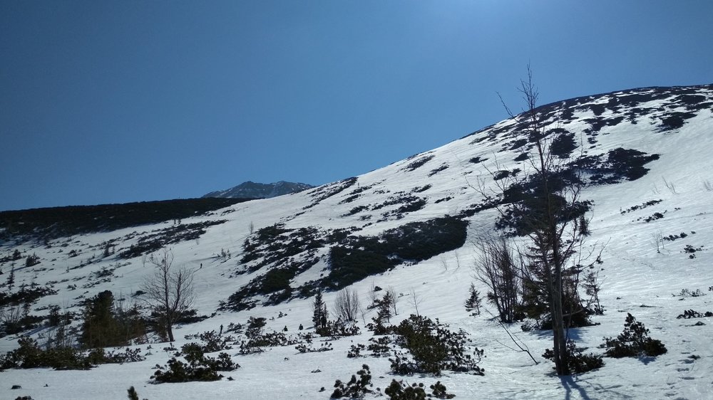 IMG_20190419_094802.jpg