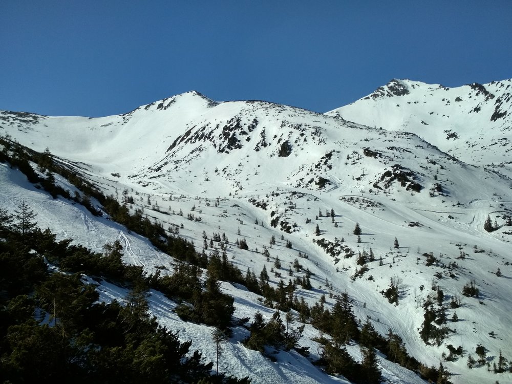 IMG_20190419_095050_HDR.thumb.jpg.44bbad10fa6f98164fd17b6c7d905abd.jpg