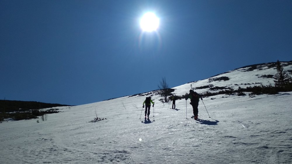 IMG_20190419_095248.jpg
