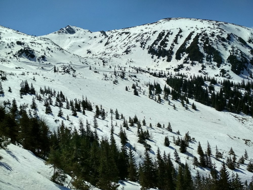 IMG_20190419_132955_HDR.thumb.jpg.19f80df94262982c8103438cce31b203.jpg