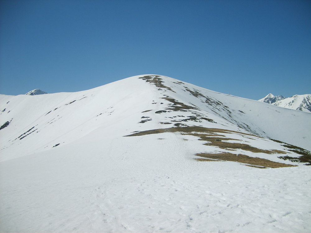 S5003517.JPG