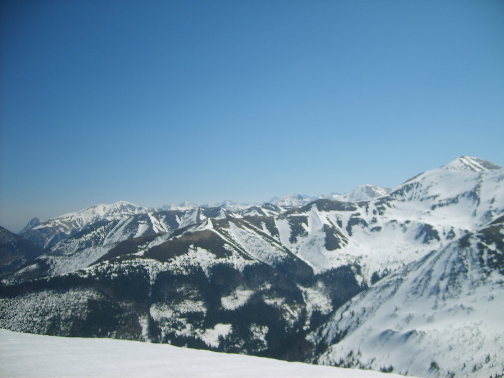 S5003519.JPG