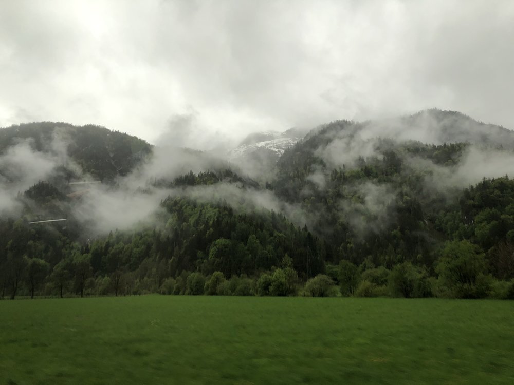 0A155826-C10C-4A28-9A42-8C05CC1CD8C1.jpeg