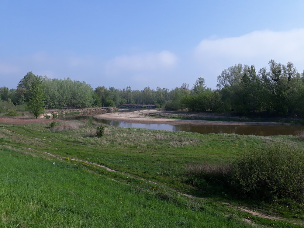 20190501_085147.thumb.jpg.0fc1b823676e01669e1c20aff0f27e2c.jpg