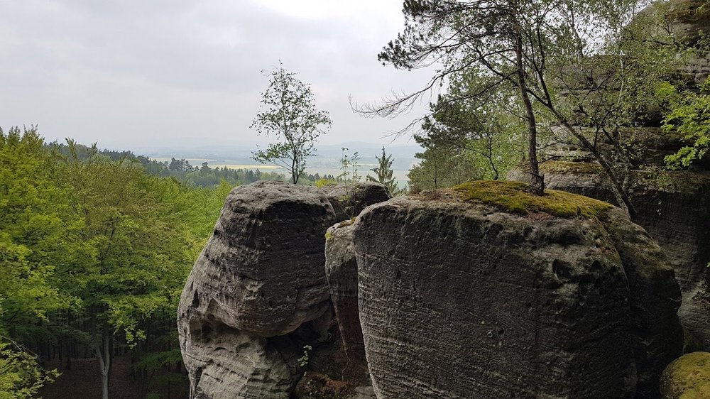 20190501_140147.thumb.jpg.aa6ed63f4dc2b79e6af03f9d71f2519e.jpg