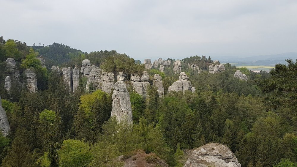 20190501_141356.thumb.jpg.9898de64eddf847ee28b3afc8b3c241e.jpg