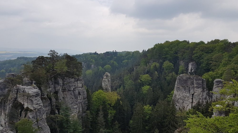 20190501_142649.thumb.jpg.fca61c544b72224299a4d206fa66636e.jpg