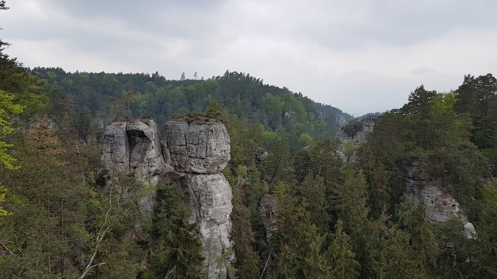 20190501_142824.thumb.jpg.425f2725eb0243708e3e5627ffcf2d40.jpg