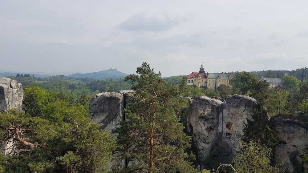 20190501_155828.thumb.jpg.e7b917406716bedefd681feaa384ac3b.jpg