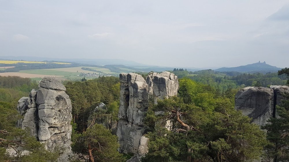 20190501_155843.thumb.jpg.ad253d88db5613f11d3b33cc7aaacdd8.jpg