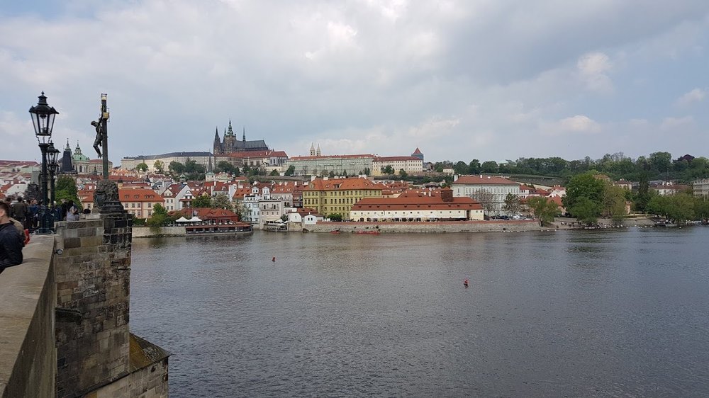 20190502_113435.thumb.jpg.ac0dcf6f8fc572d67dfe74340007d9e6.jpg