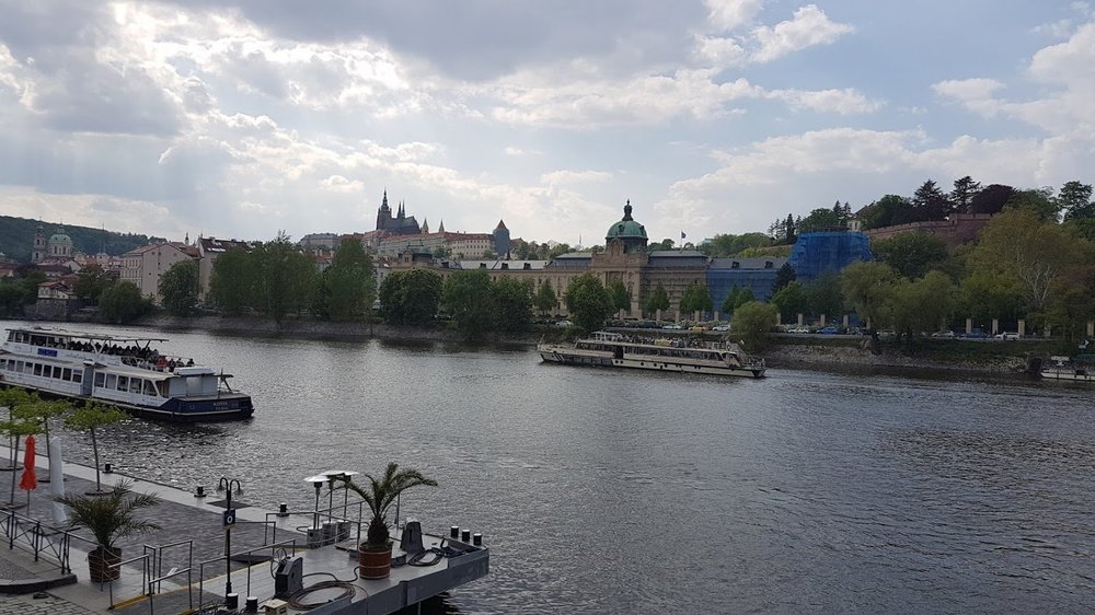20190502_160933.thumb.jpg.a11d14c79924522a1292e666e8261de8.jpg