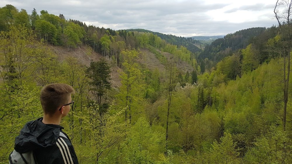 20190503_151054.thumb.jpg.2690e4439798e43b2e1b34ae8378ece1.jpg