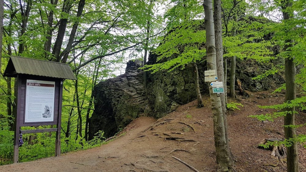 20190503_153421.thumb.jpg.4c5396dc286d5f681dffdf5f71a4ceac.jpg